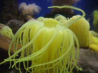 育児日記8ヶ月 182.jpg