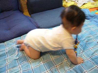 もう少しでハイハイ