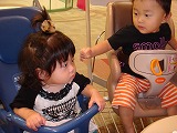 DSC03462.jpg