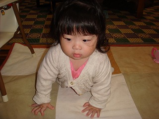 DSC03456.jpg