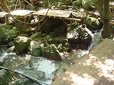 DSC02231.jpg