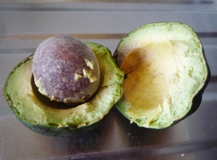 aguacate2.jpg