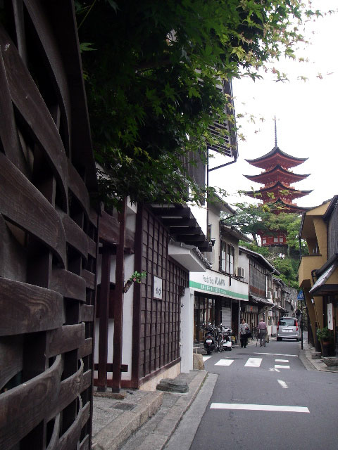 IMGP0557.jpg