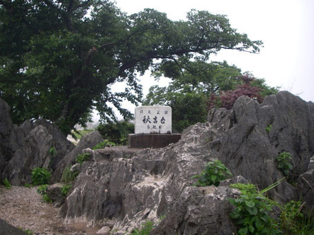 IMGP0481.jpg