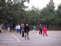 3886769_1326577308_199small.jpg