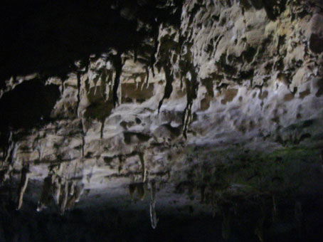 IMGP0450.jpg