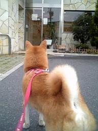 入るぞ！！