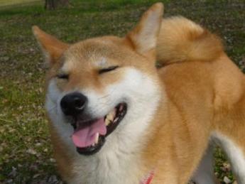 ぐふふ・・・