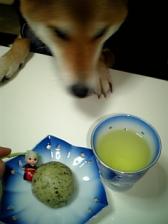 お茶の時間。