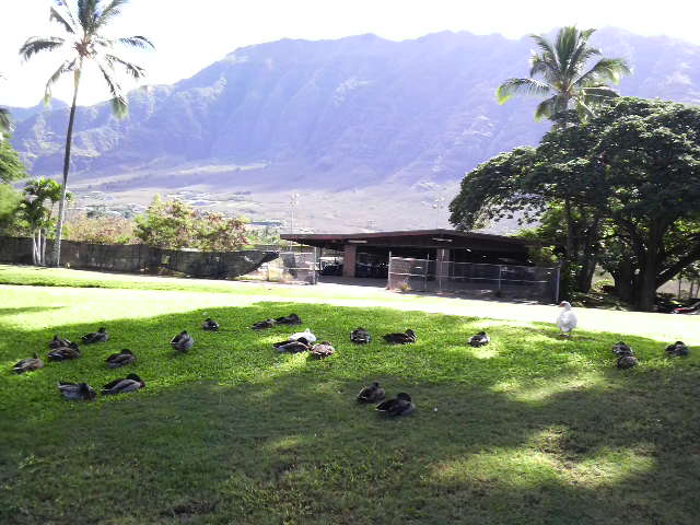 P1000005.JPG