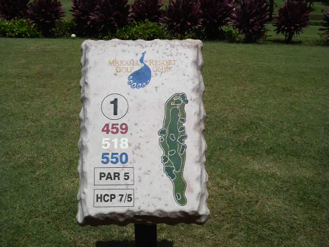 P1000009.JPG