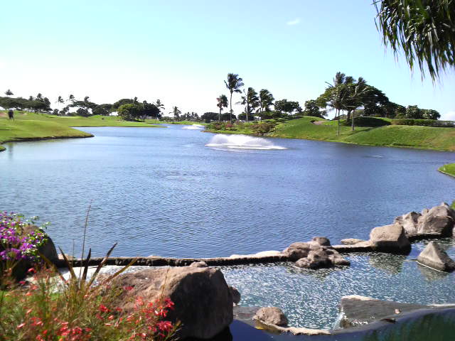P1000005.JPG