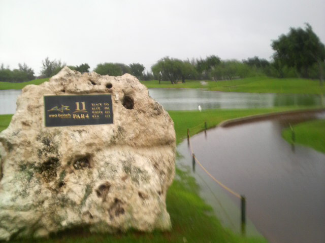 P1000004.JPG