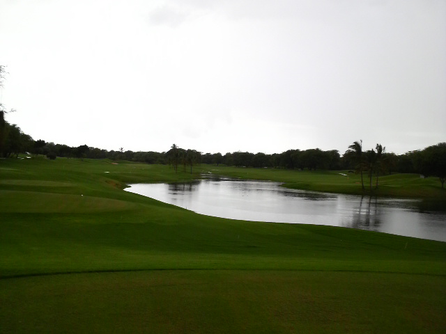 P1000006.JPG