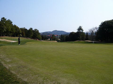 P1000334.jpg