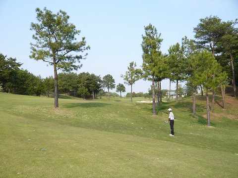 P1000706.jpg
