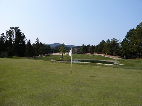 P1000336.jpg