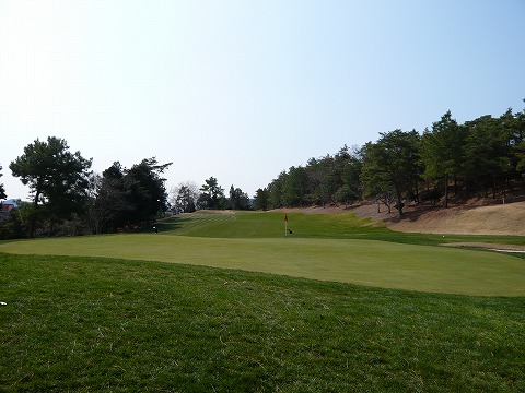 P1000338.jpg