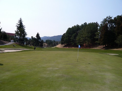 P1000340.jpg
