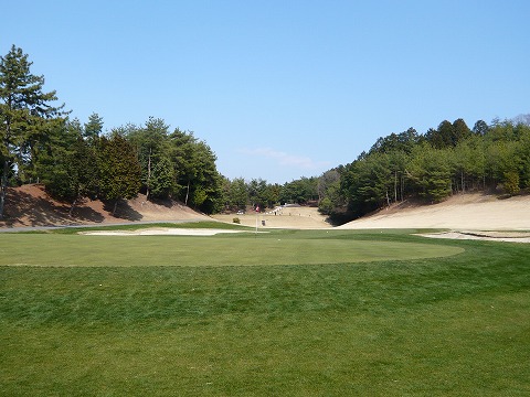 P1000345.jpg
