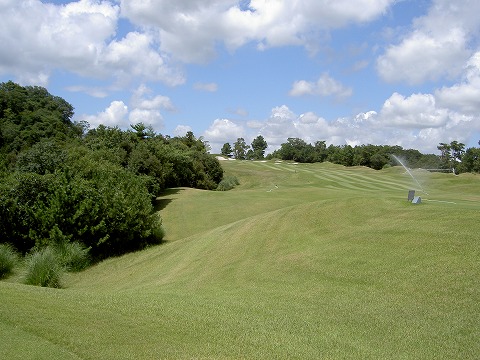 PICT1934.jpg