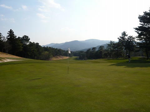 P1000353.jpg