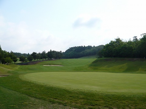 P1000803.jpg