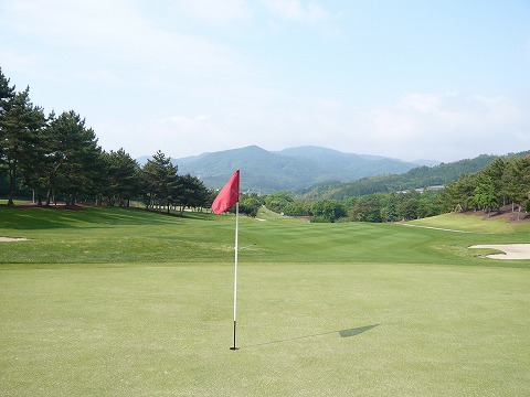 P1000804.jpg