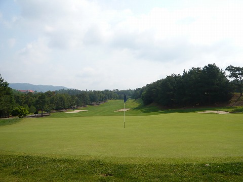 P1000806.jpg