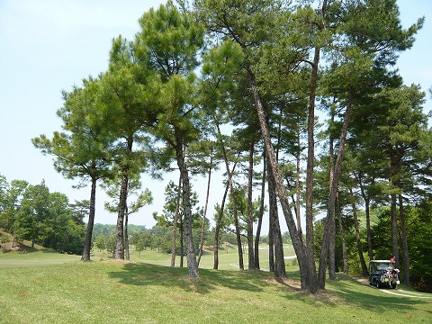 P1000669.jpg