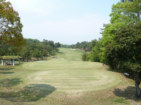 P1000681.jpg