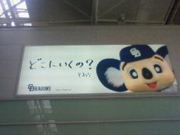 DSC00001.JPG