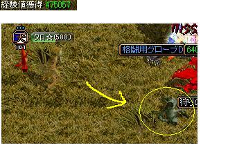 中部の緑.JPG