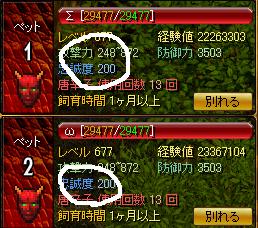 ティン.JPG