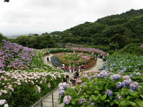 上ったところの絶景.jpg