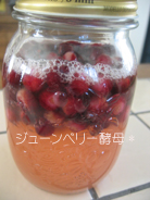 ジューンベリー酵母.jpg