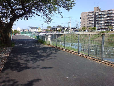 新しく出来た橋