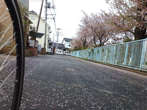 桜散る