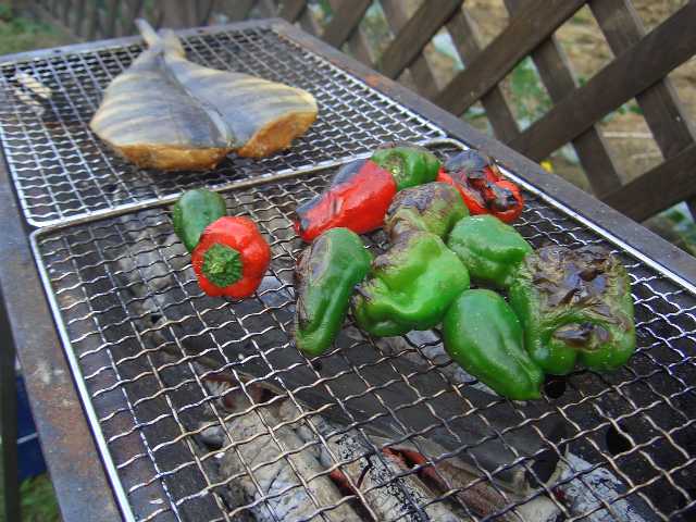 k071007BBQ_2.JPG