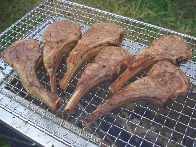k071007BBQ_3.JPG