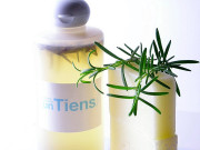 ローズマリー酢リンス