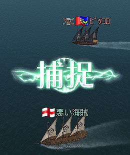 捕捉！