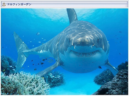 シャークガーデン