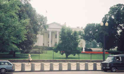 WDC7.jpg