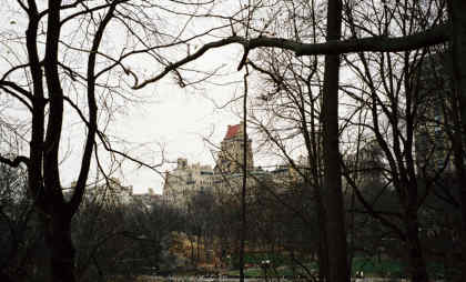 NY-W1.jpg