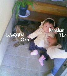 2008-05-09 21:12:56
