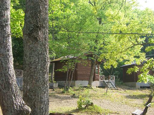 ｷｬﾝﾌﾟ08-01.JPG