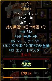 ブタ