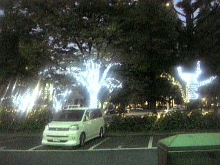 イルミネーション2008
