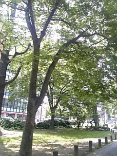 都会の中の緑